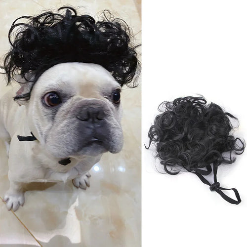 Transform Your Pet into a Star with Our Fun Pet Wigs for Dogs and Cats - Perfect for Cosplay, Photography, and Pranks!
